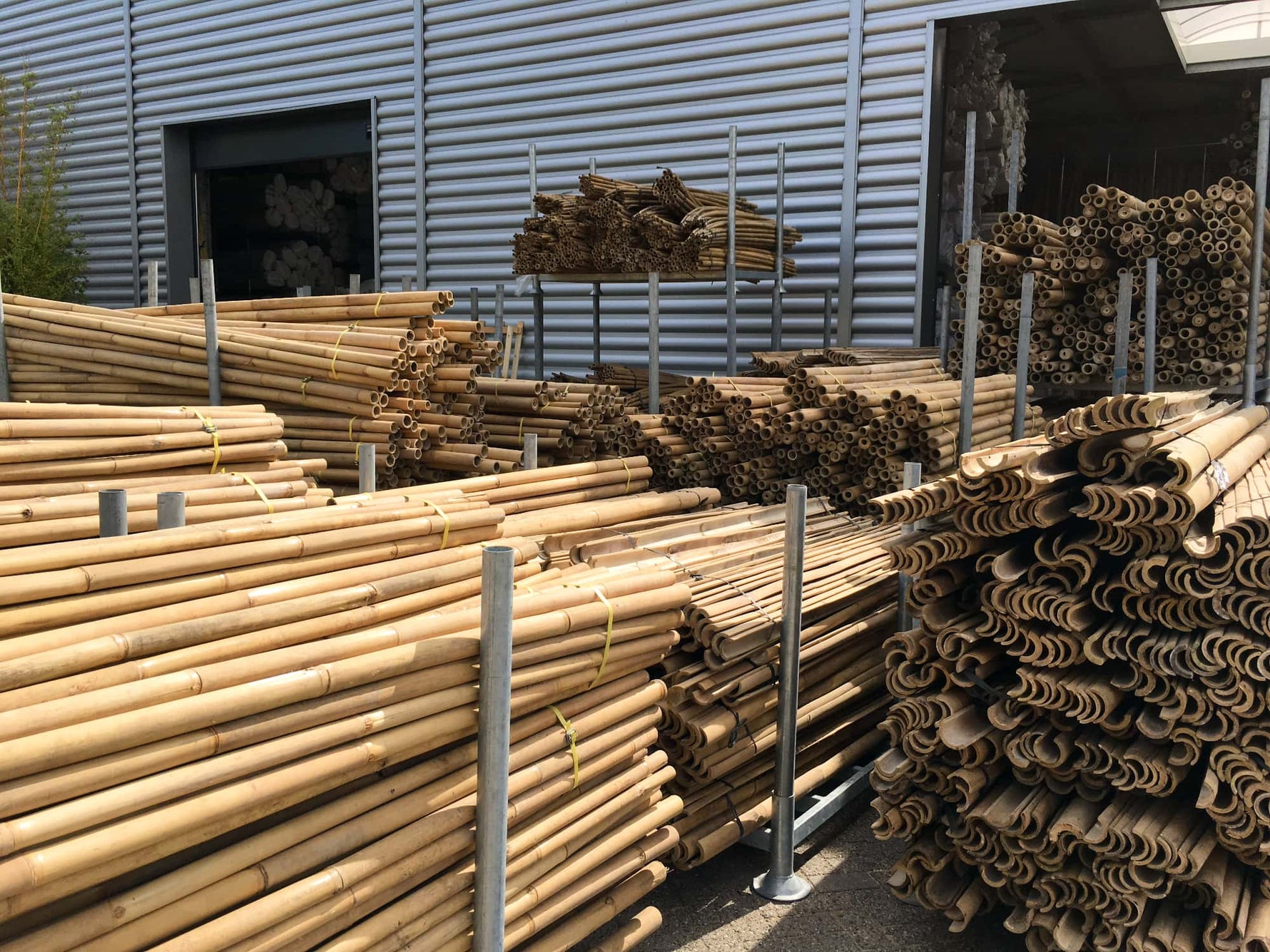 Bamboe Bedrijf in Beverwijk - Masters of Bamboo