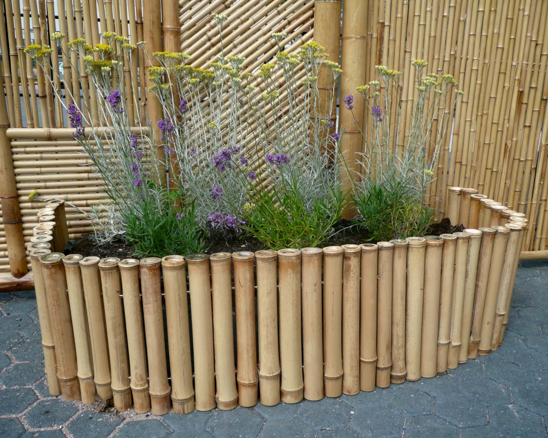 Bamboe borders & borderrollen – duurzame randen voor tuin & moestuin