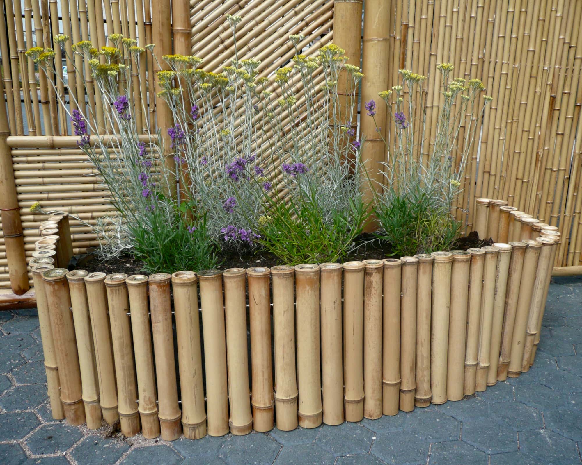 Bamboe borders & borderrollen – duurzame randen voor tuin & moestuin