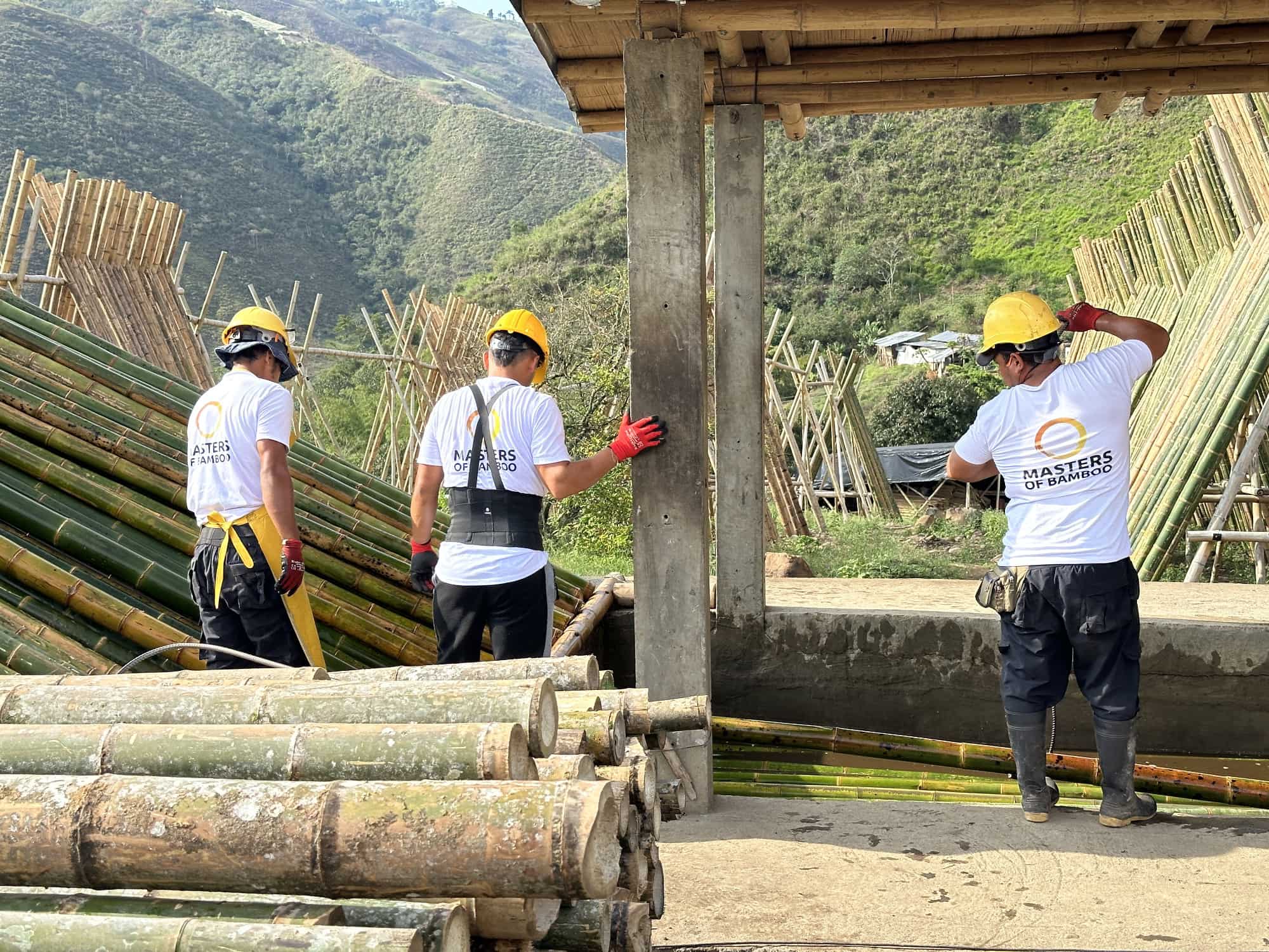 Masters of Bamboe Plantage en Fabriek