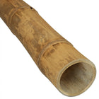 Bamboe Paal Guadua Ø 13-15 cm