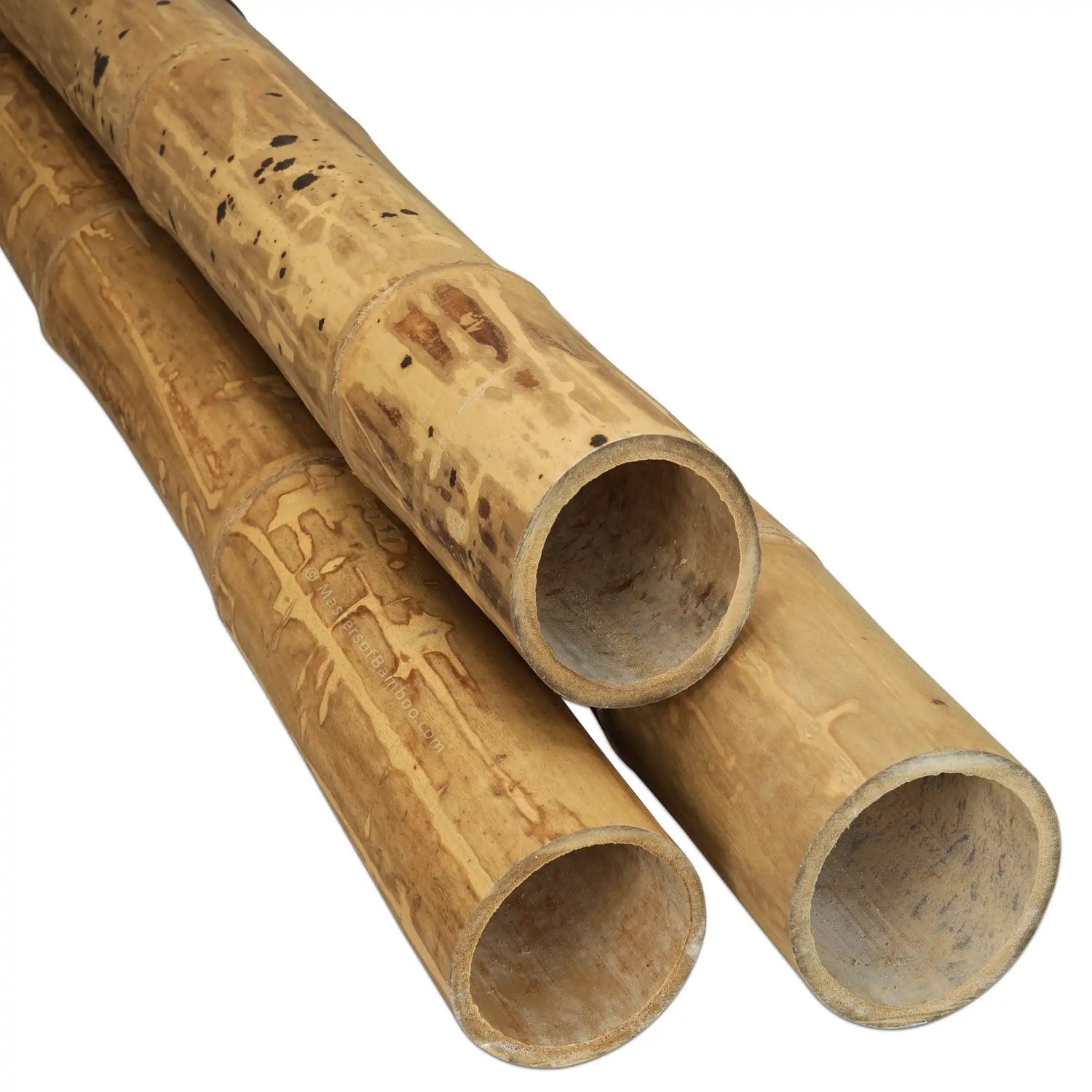 Bamboe Paal Guadua 9-11 cm