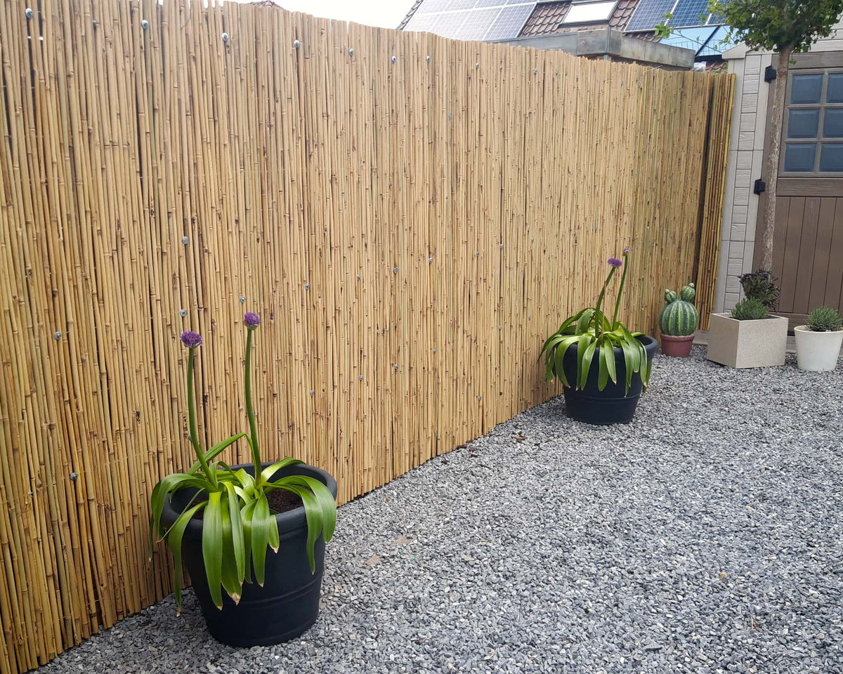 Bamboemat Basic als eenvoudige oplossing voor schutting renovatie en tuin privacy