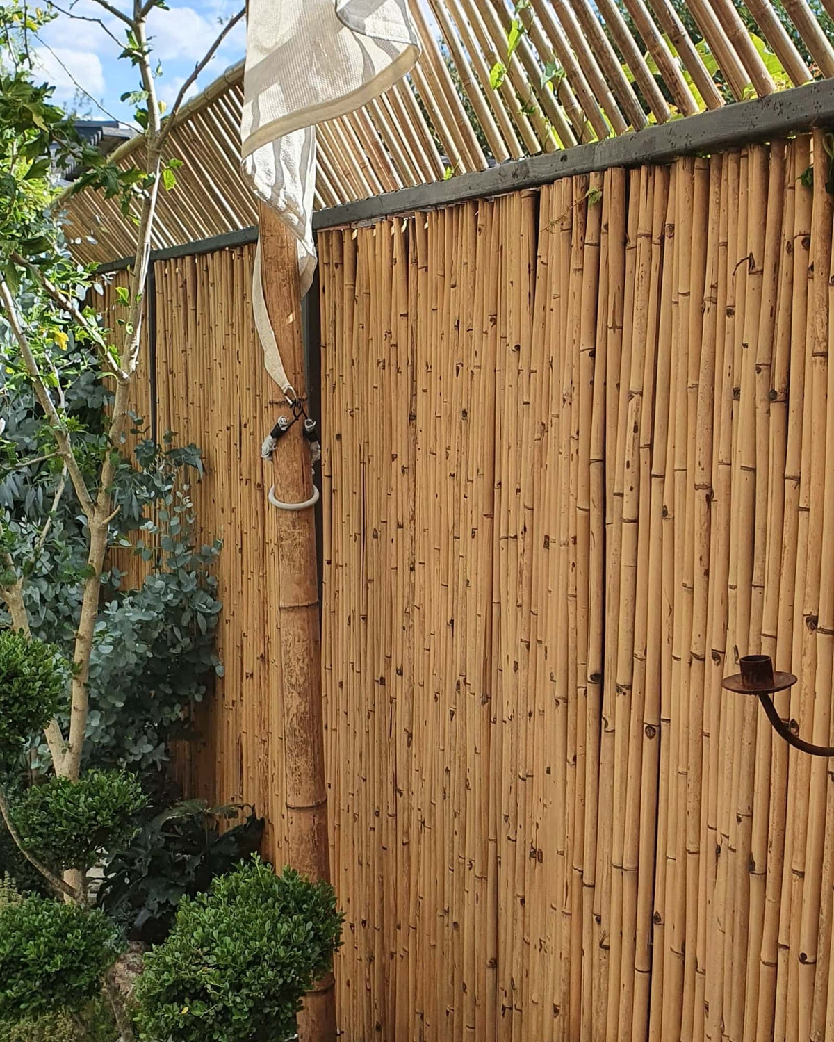 Bamboemat Basic op rol als tuinafscheiding volgens de nieuwste tuin trends, zodat een kat niet over de schutting kan komen