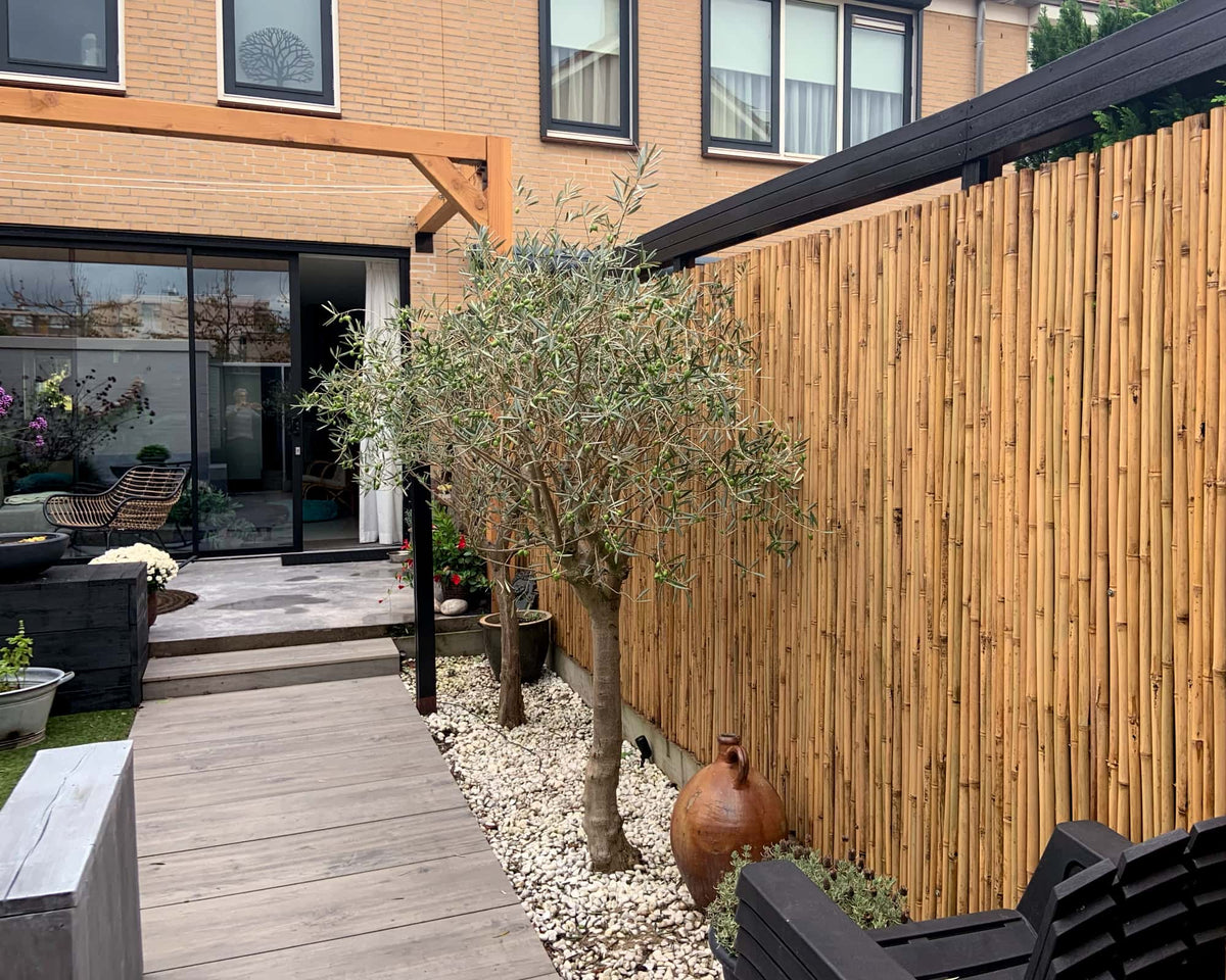 Bamboemat Basic op rol als natuurlijke tuinafscheiding volgens de nieuwste tuin trends