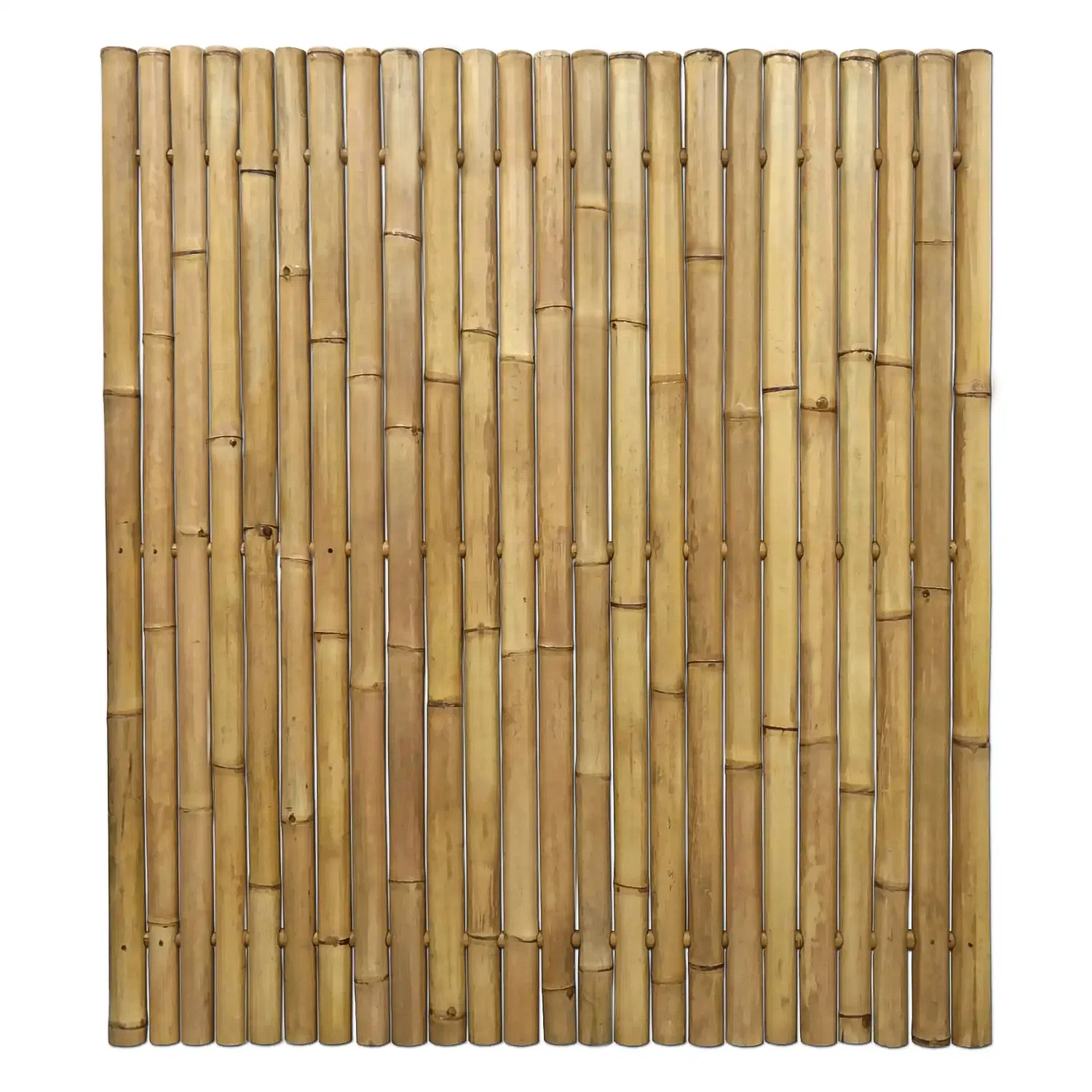 Robuust bamboe tuinscherm Giant 180x200 cm