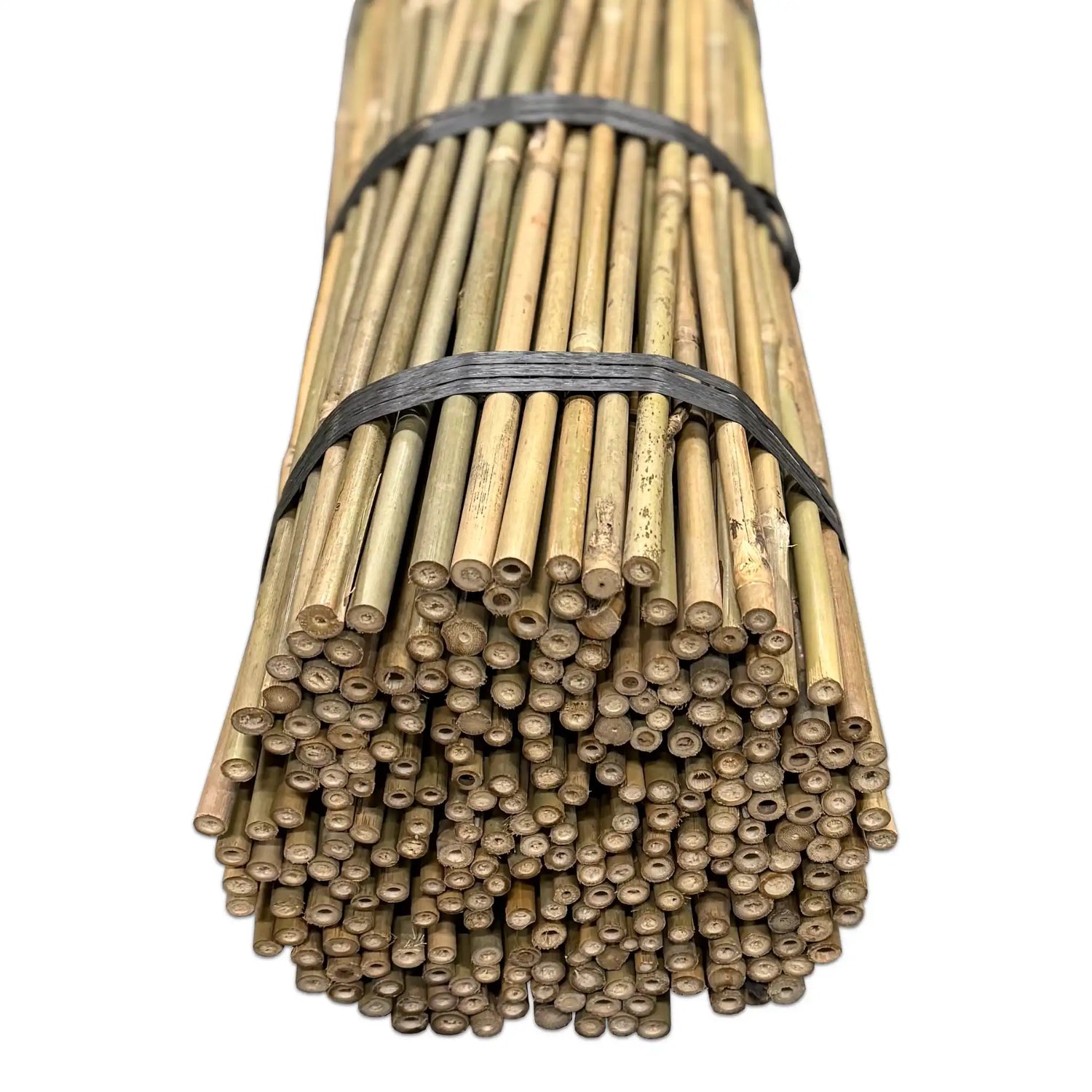Bamboo Tonkin Sticks Ø 10-12 mm