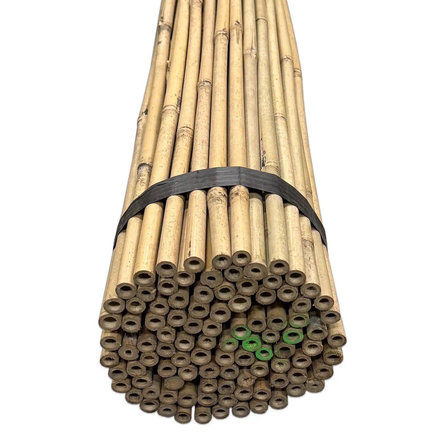 Bamboo Tonkin Sticks Ø 16-18 mm