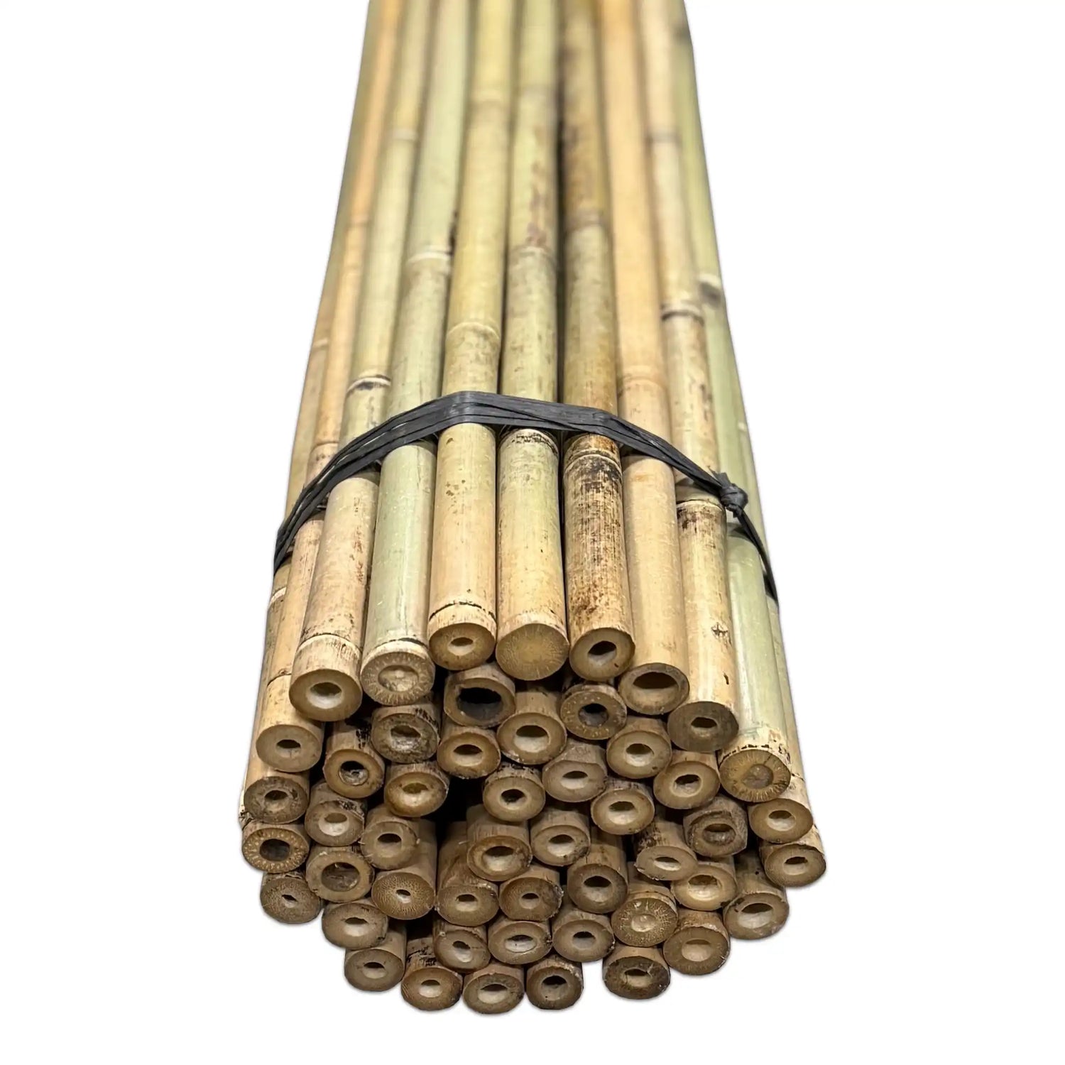 Bamboo Tonkin Sticks Ø 20-22 mm