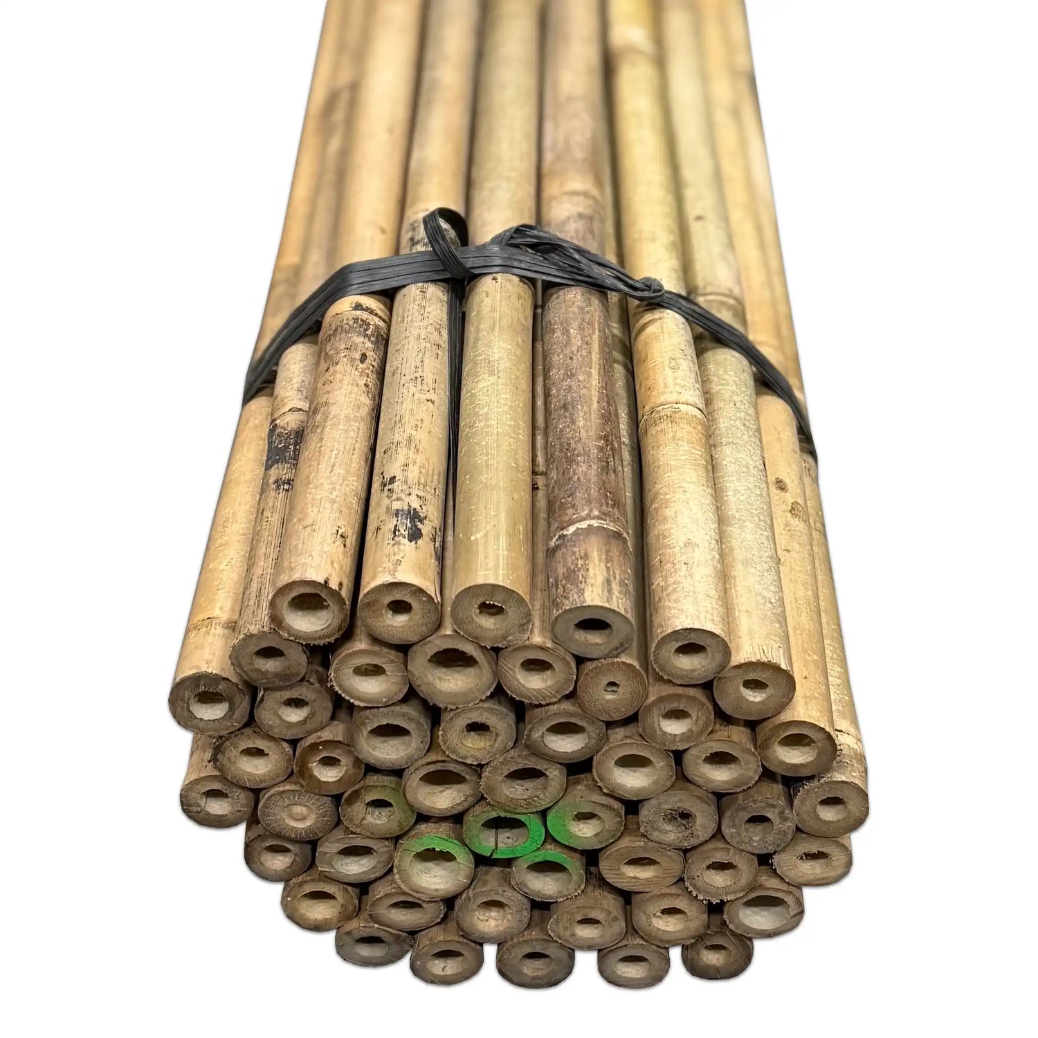 Bamboo Tonkin Sticks Ø 24-26 mm