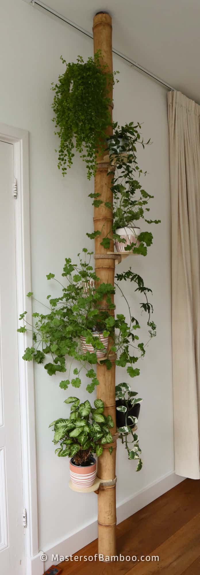 Guadua Bamboe Decoratie Paal Met Planten