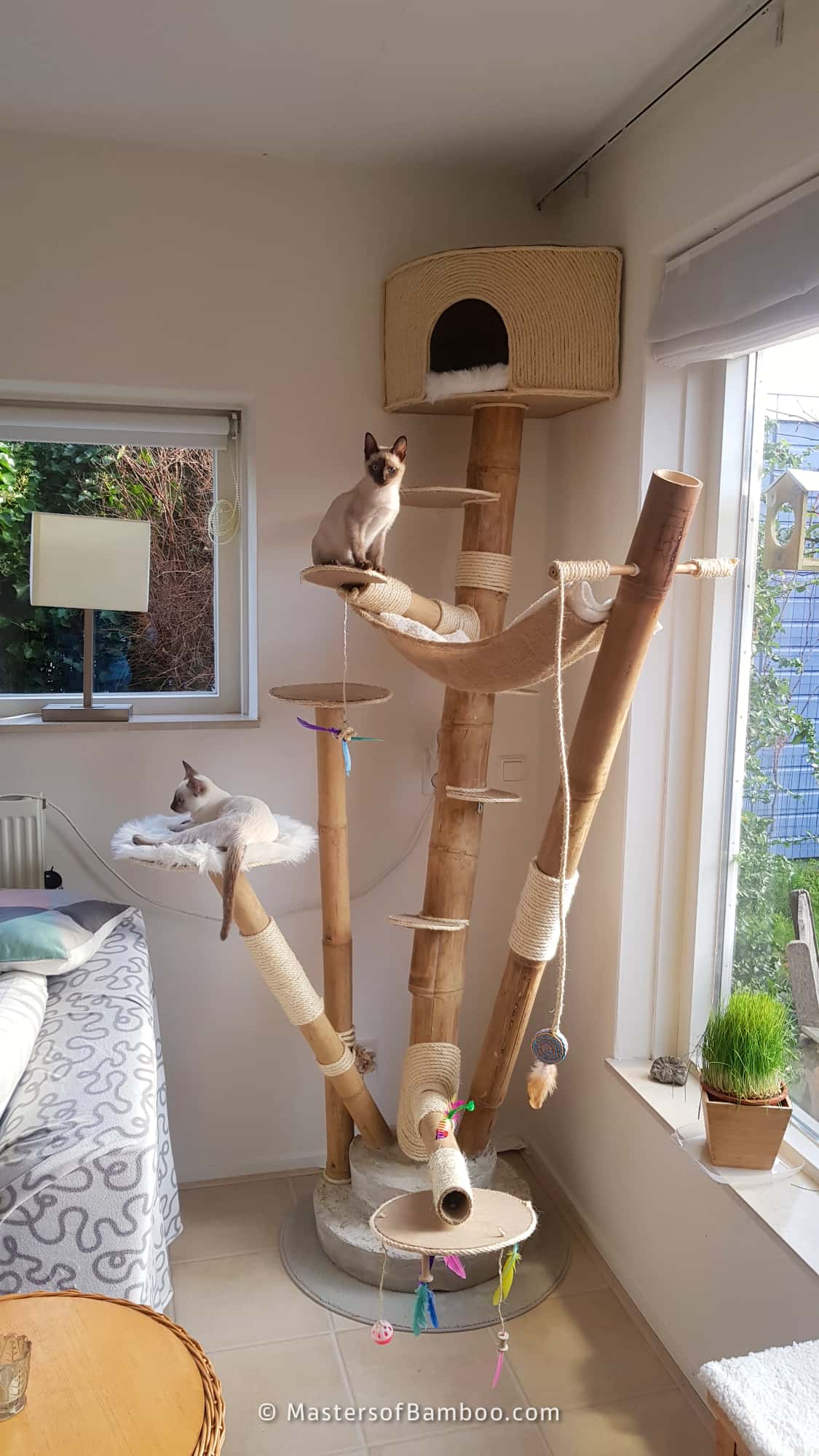 kattenkrabpaal van Guadua Bamboe palen