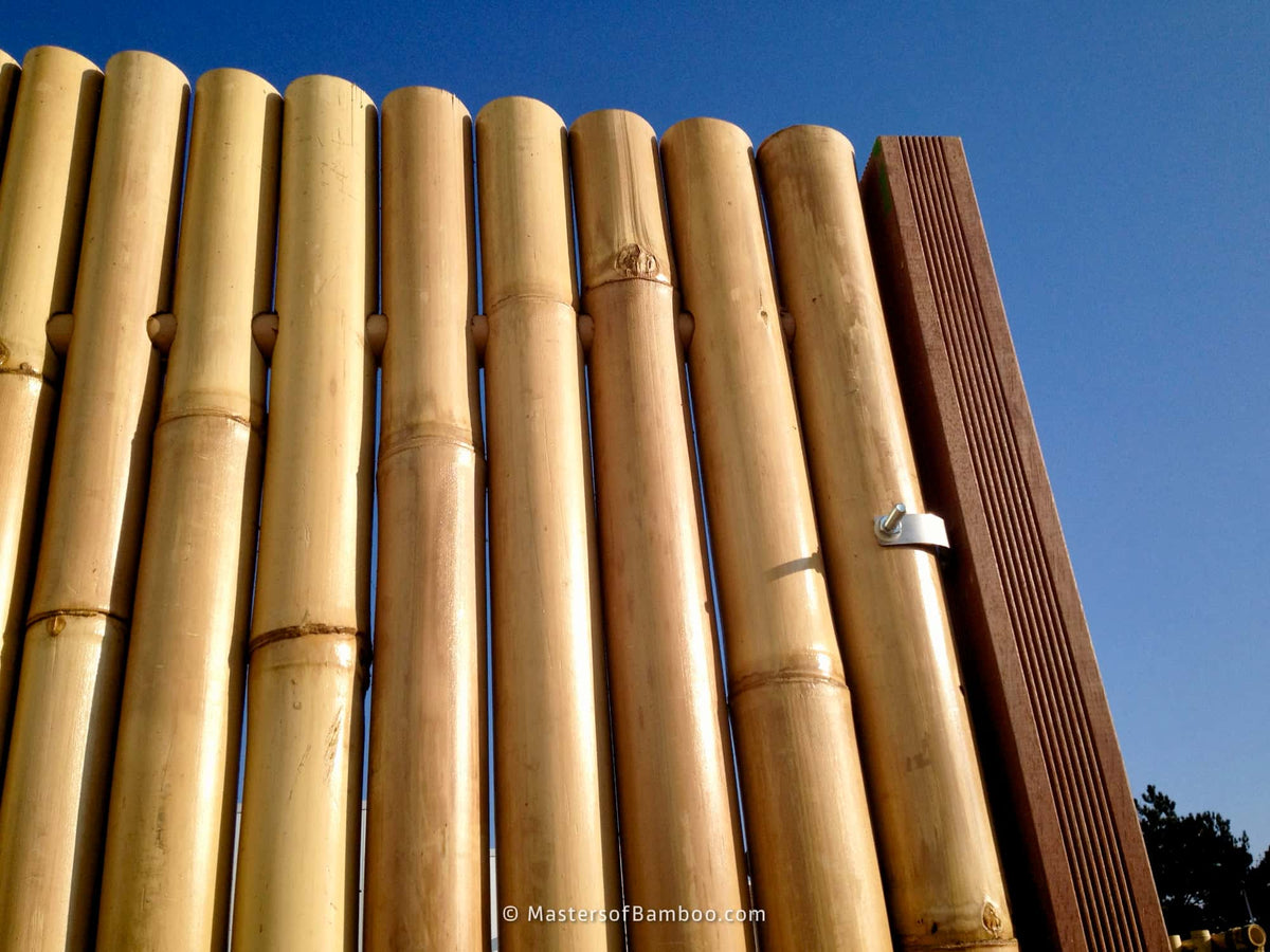 Montage bamboescherm