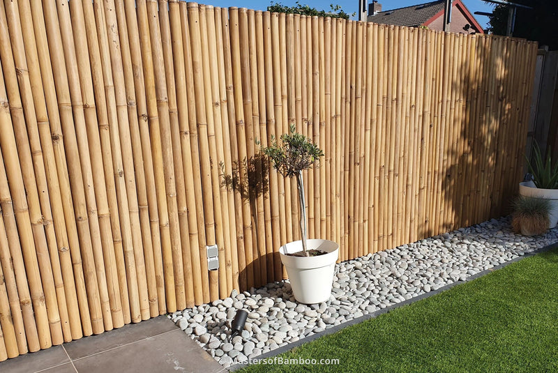 bamboe schutting in de tuin