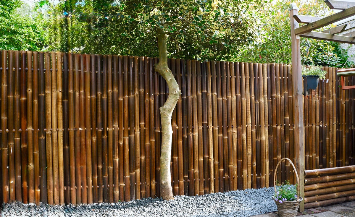 Tuin met bamboeschutting