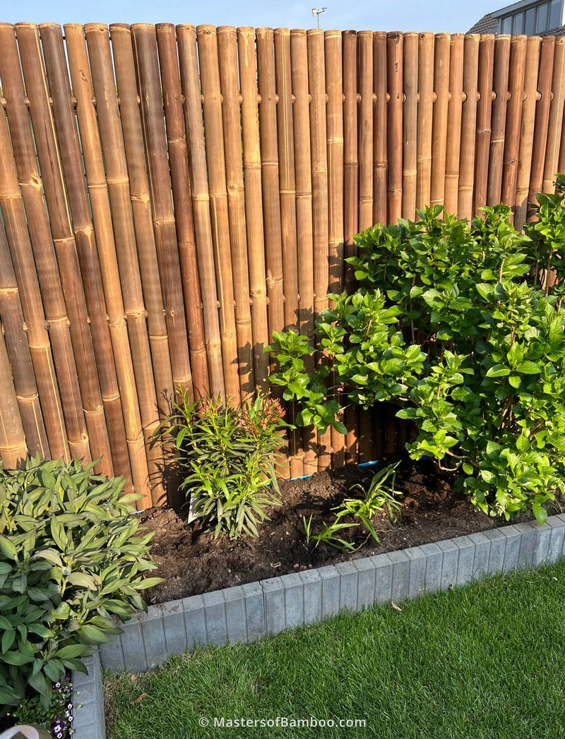 tuinschutting bamboescherm Giant donker zwart