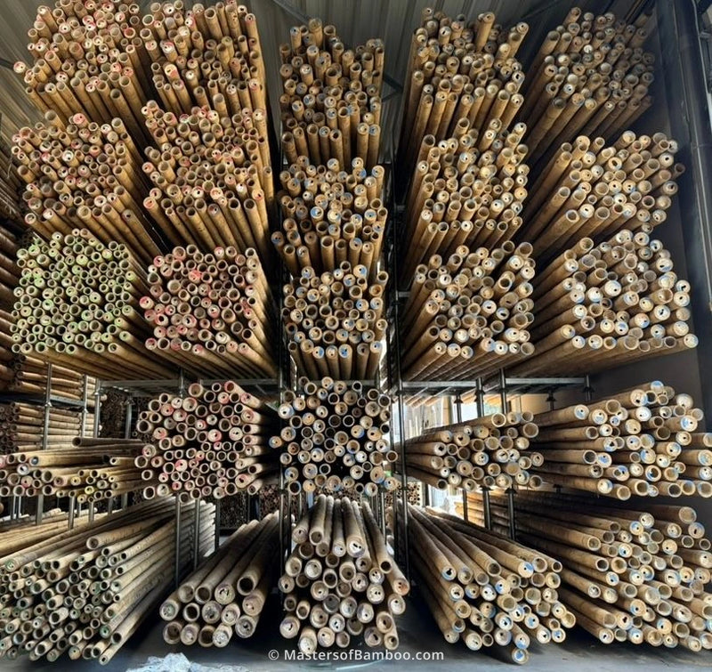 Grootste-magazijn-bamboepalen-Beverwijk