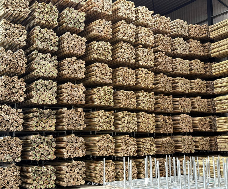 Grote-vooraad-bamboestokken-Masters-of-Bamboo