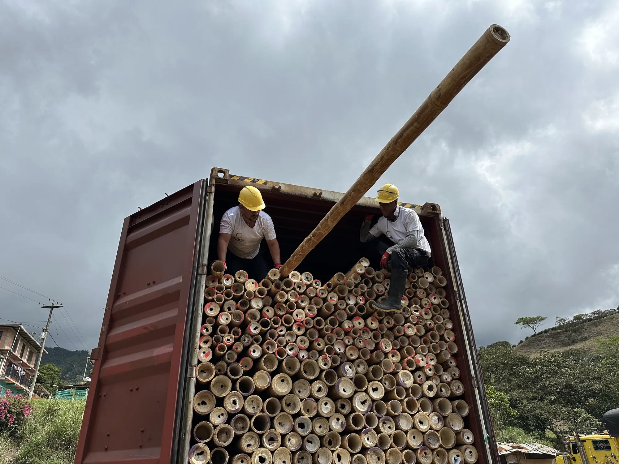 Container bamboepalen wordt geladen met guadua bamboo