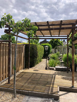 zonnig terras met zwarte pergola