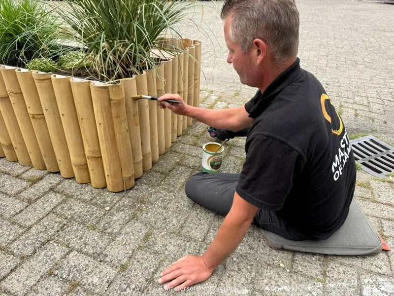 bamboe in de olie of lak zetten