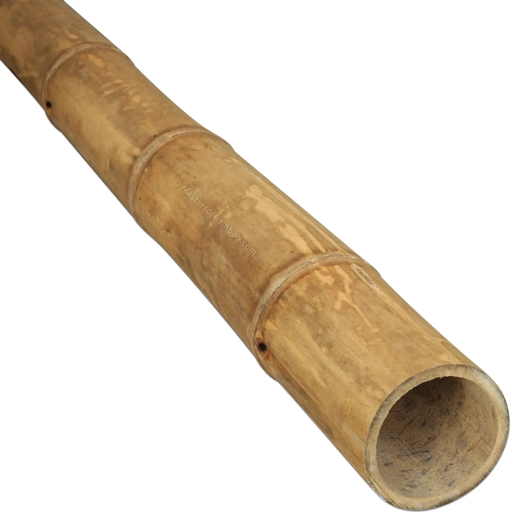 Bamboe Paal Guadua Ø 9-11 cm – Masters of Bamboo