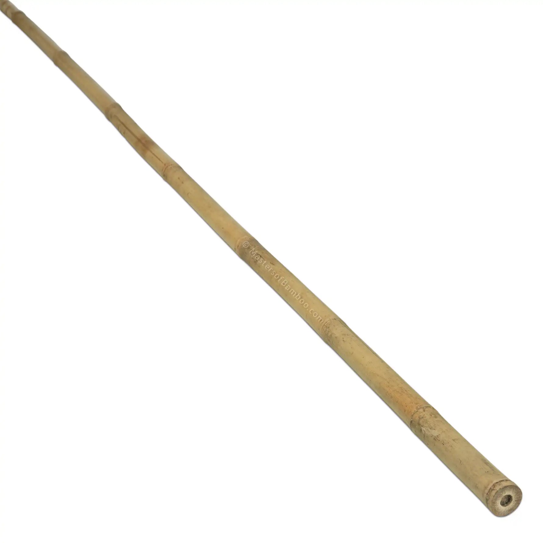 bamboe stokken Koop je Bamboestok Tonkin Ø 28/30 mm x 420 cm – Masters of Bamboo