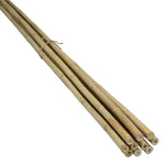 bamboo stokken Want to buy Tonkin bamboo sticks? – Masters of Bamboo