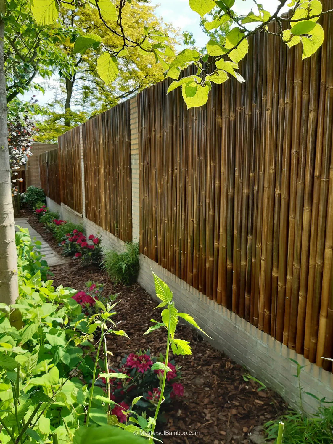 zwarte bamboeschutting deluxe