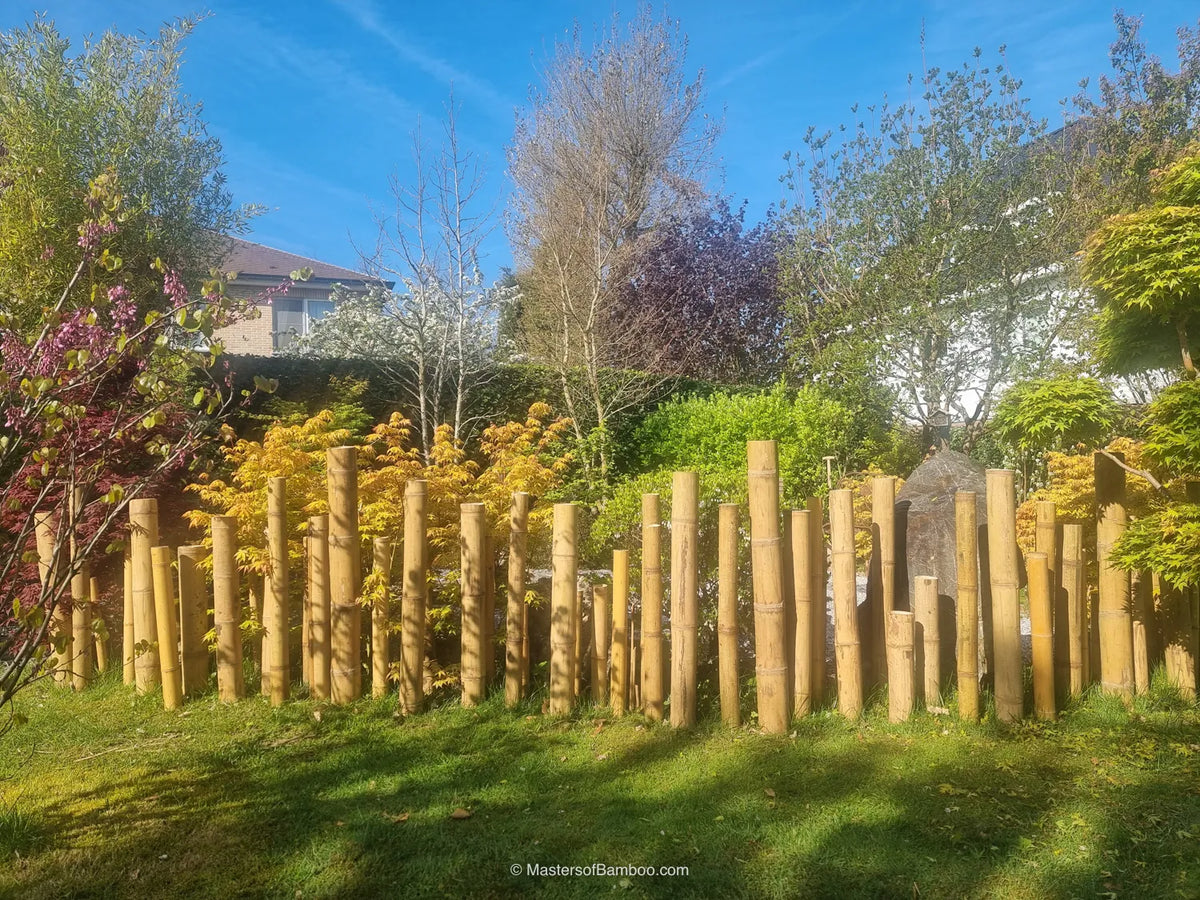 natuurlijk hekwerk bamboe guadua