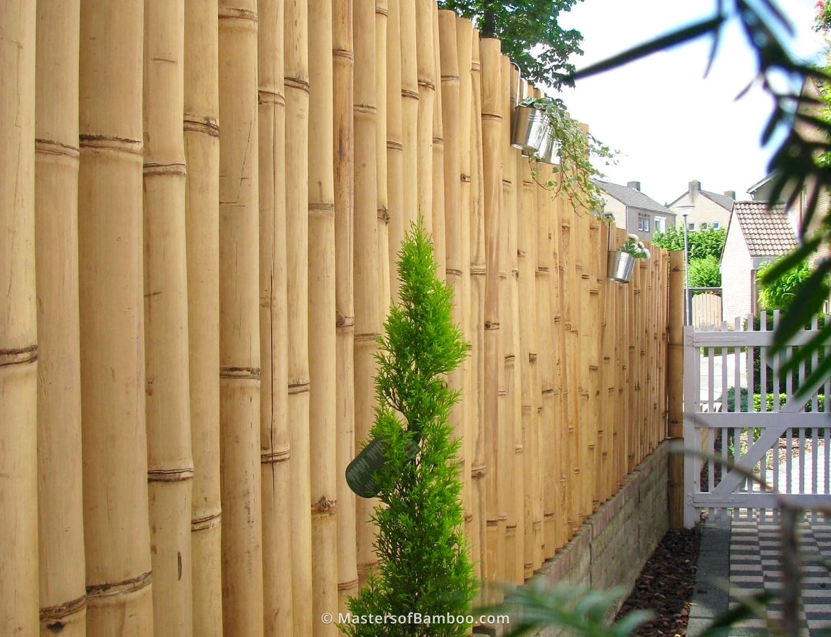 bamboepalen-in-de-tuin