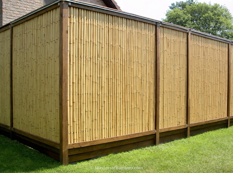 bamboeschutting-geplaatst-in-houten-frame