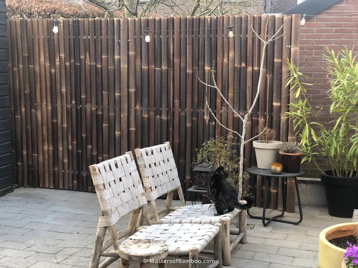 bamboeschutting zwart in tuin