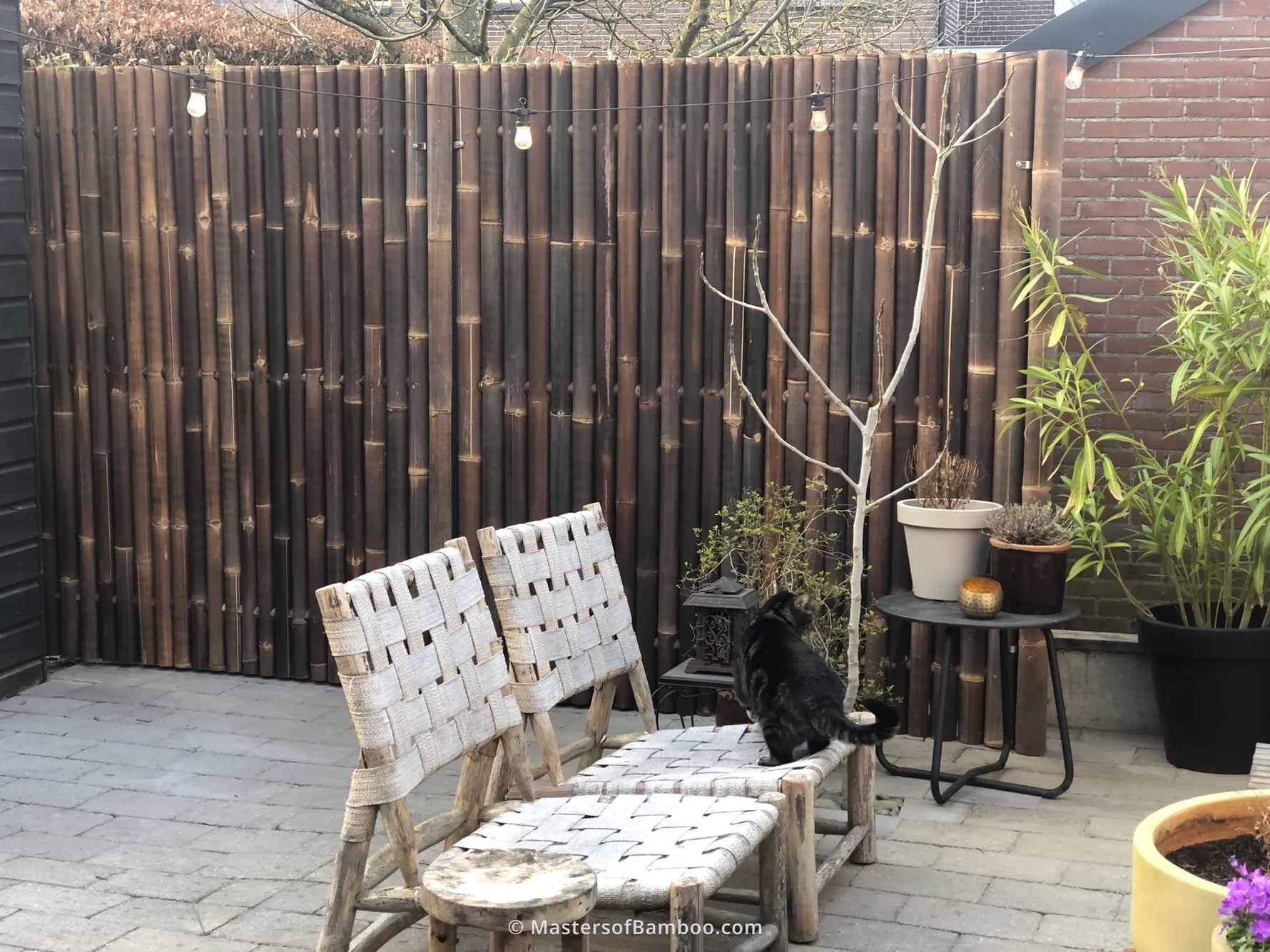bamboeschutting zwart in tuin