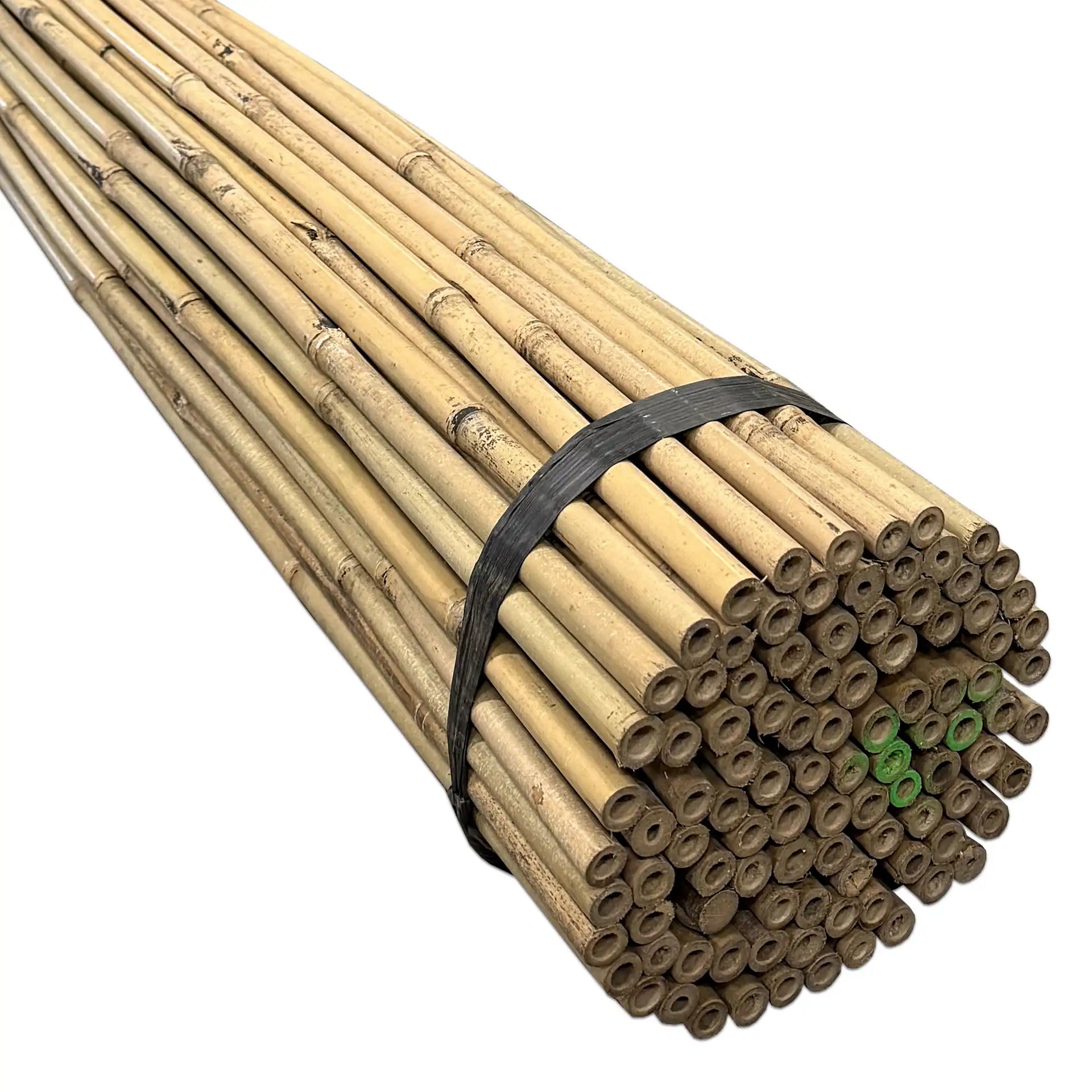 Bamboo Sticks in All Sizes - Immediately Available from Stock Masters of Bamboo Bamboo Sticks in All Sizes - Immediately Available from Stock Masters of Bamboo