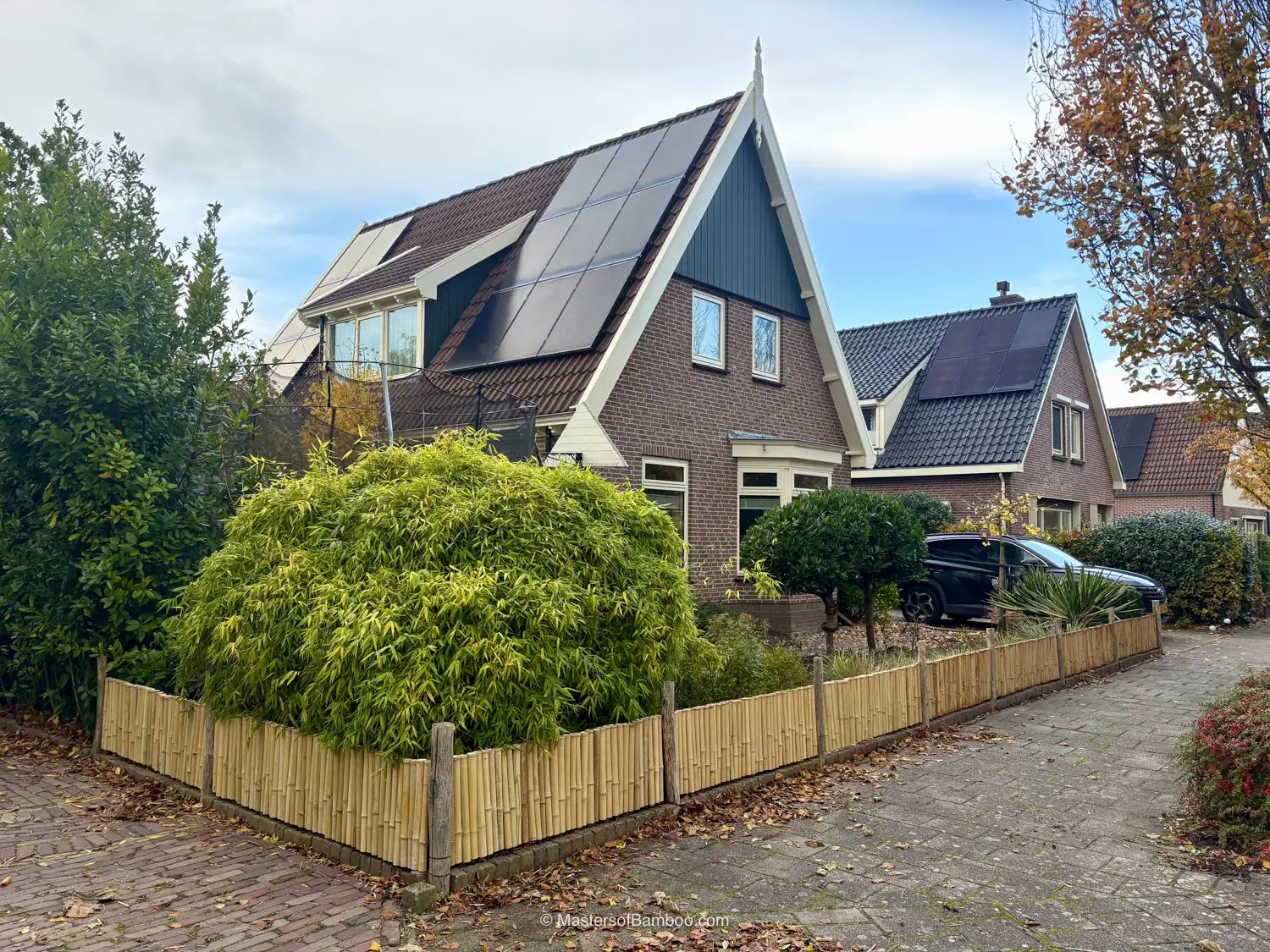 bamboe borderrol naturel