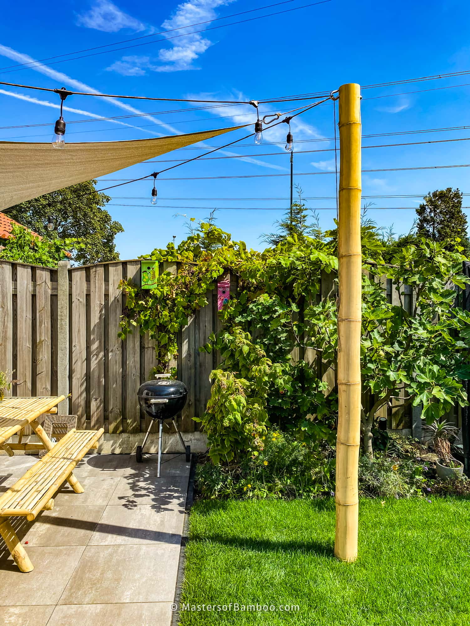 Guadua Bamboe paal met stretchdoek in Tuin