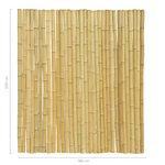 bamboe halfrond erfafscheiding 200cm