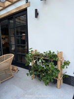 succesvol aardbeien kweken met bamboe