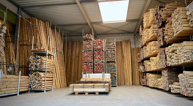 loods vol met bamboe palen