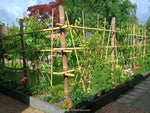 moestuinrek van bamboe met bindbuis