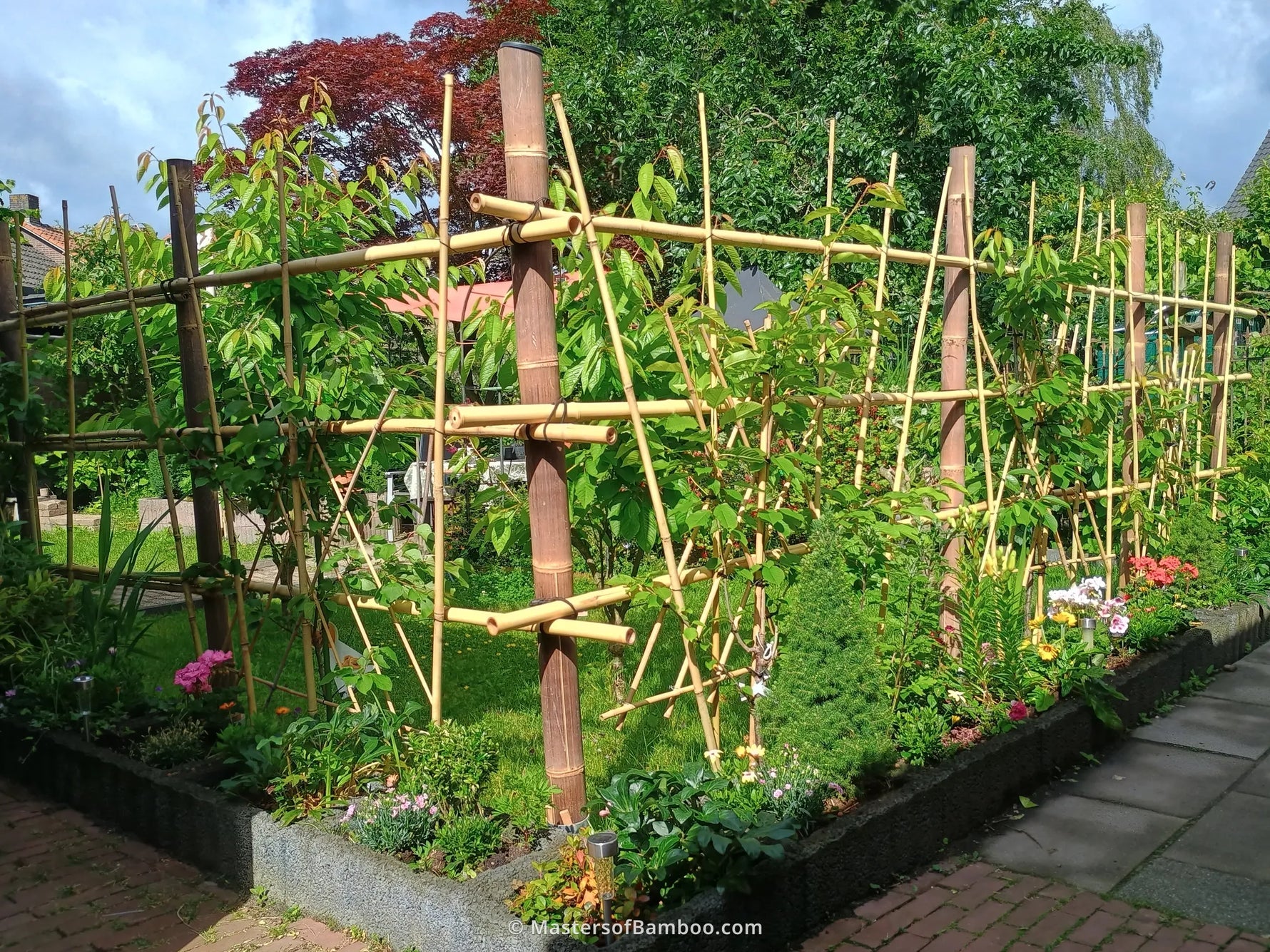 moestuinrek van bamboe met bindbuis