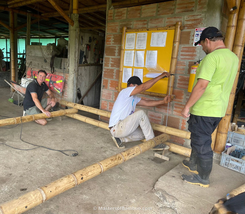 nieuw model bamboe pergola maken