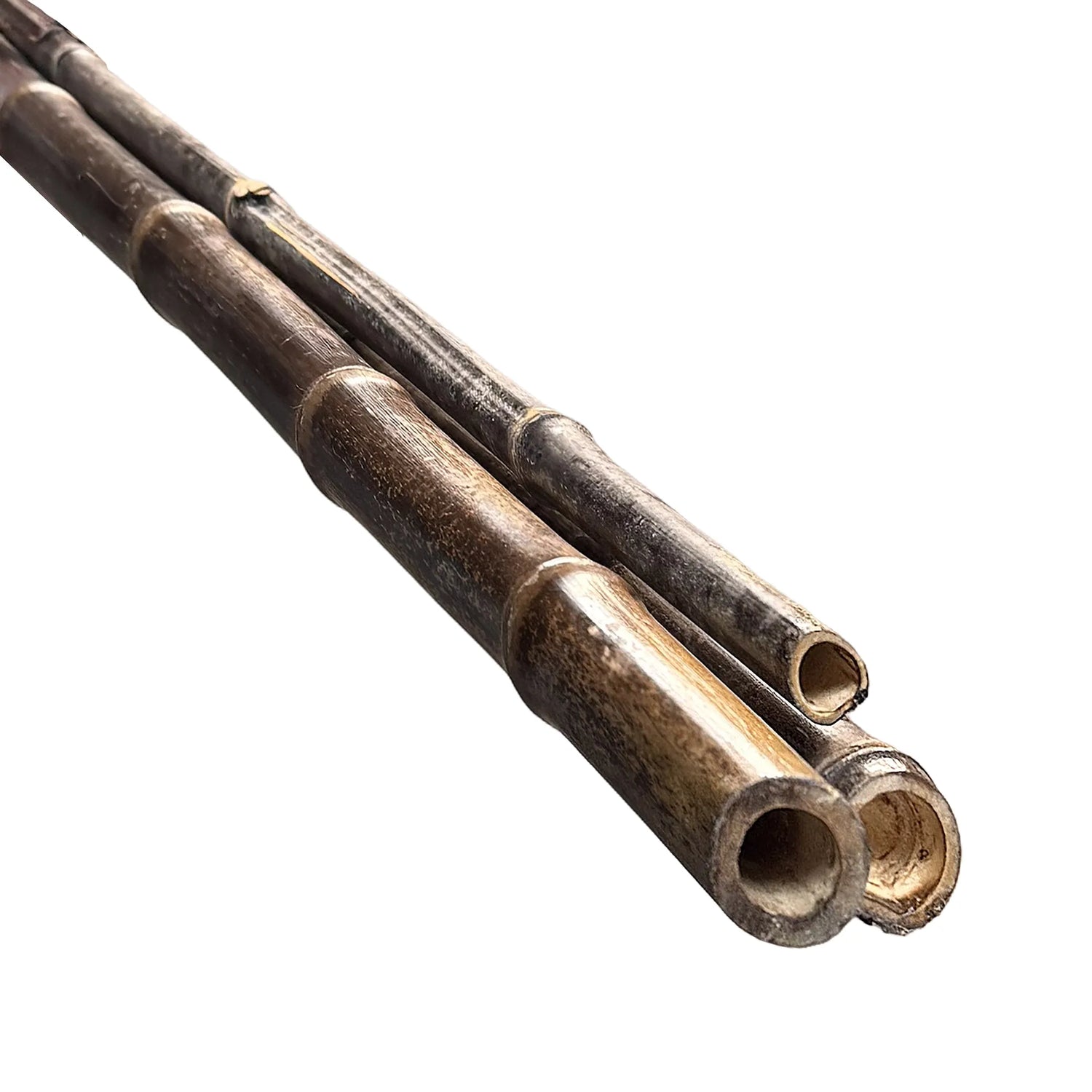 nigra 3-5 drie bamboe palen