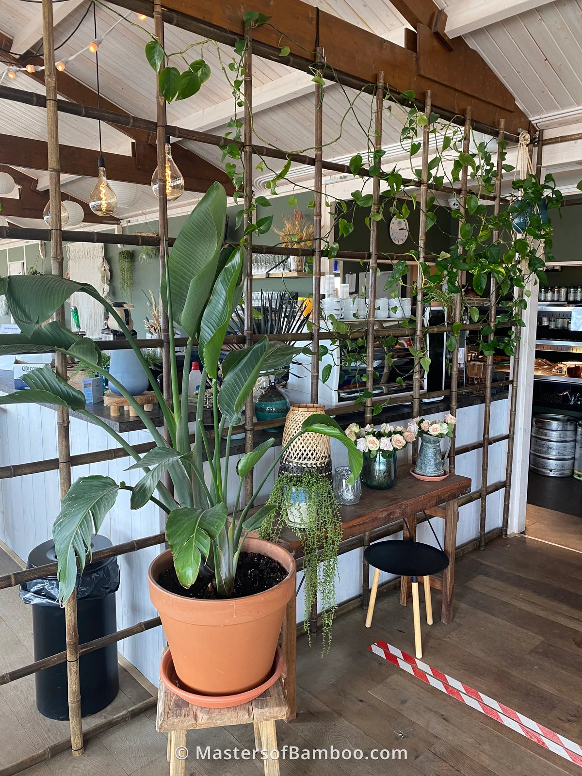 nigra bamboe interieur kamerscherm