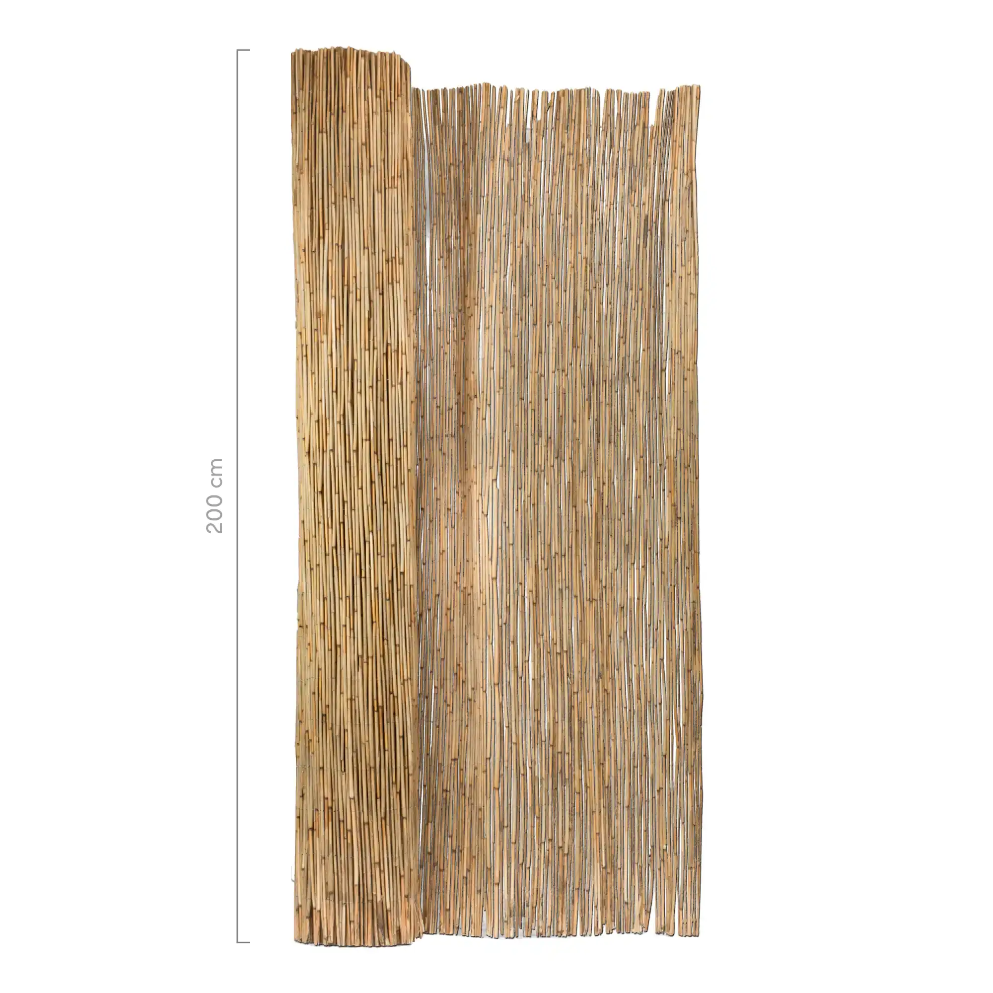 Reed mat Royal - Various heights! – Masters of Bamboo