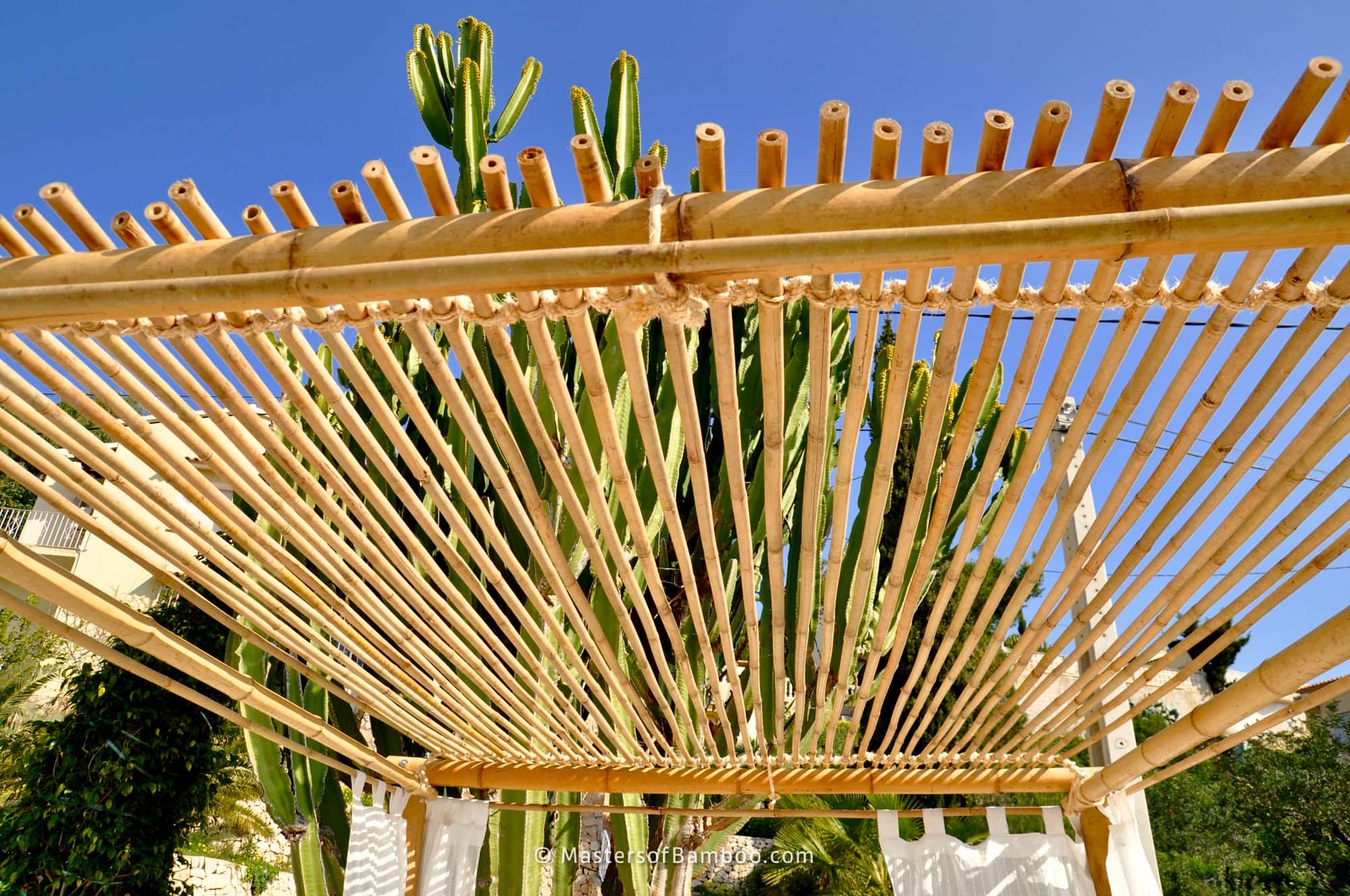 bamboe stokken Koop je Bamboestok Tonkin Ø 28/30 mm x 420 cm – Masters of Bamboo