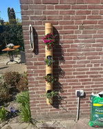 plant in bamboe paal 